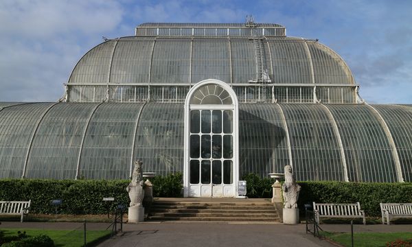 Giardini botanici Kew Gardens